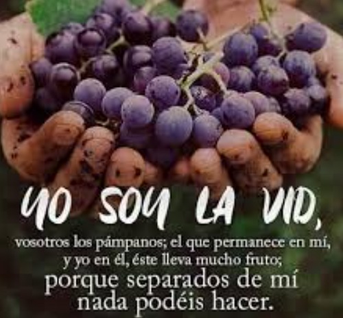 Yo Soy La Vid Juan 15 v 1 - 7